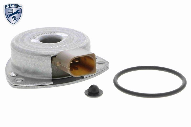 VAICO Central Magnet, camshaft adjustment Q+, original equipment manufacturer quality