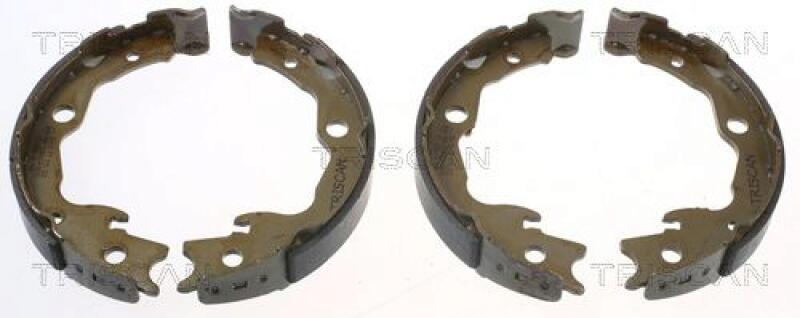 TRISCAN Brake Shoe Set, parking brake