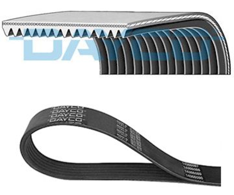 DAYCO V-Ribbed Belt