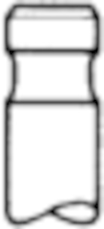 TRW Engine Component Einlassventil 105-35648
