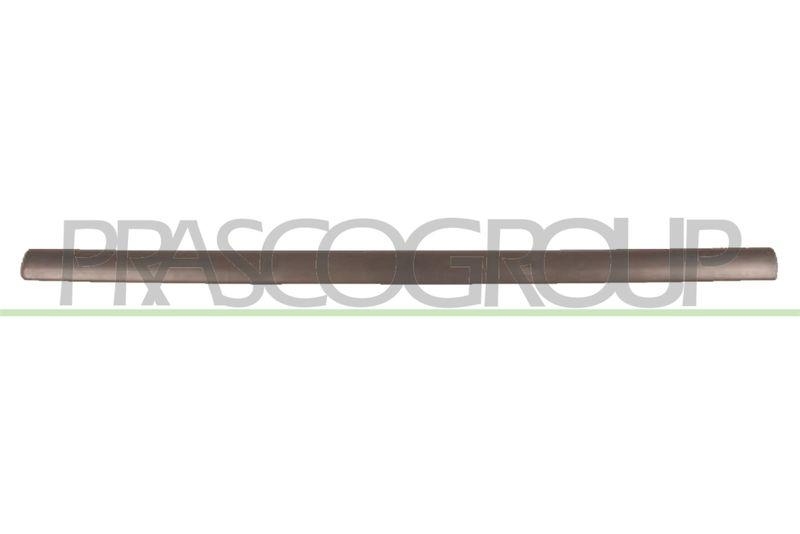 Trim/Protective Strip, door