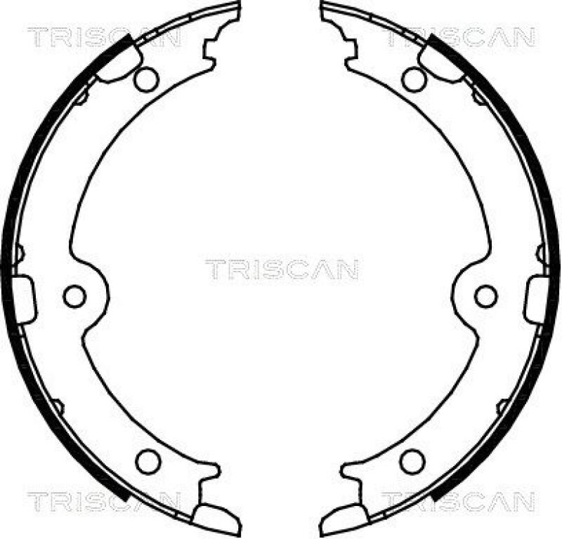 TRISCAN Brake Shoe Set, parking brake