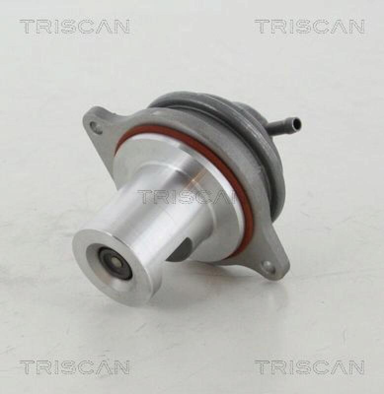 TRISCAN EGR Valve