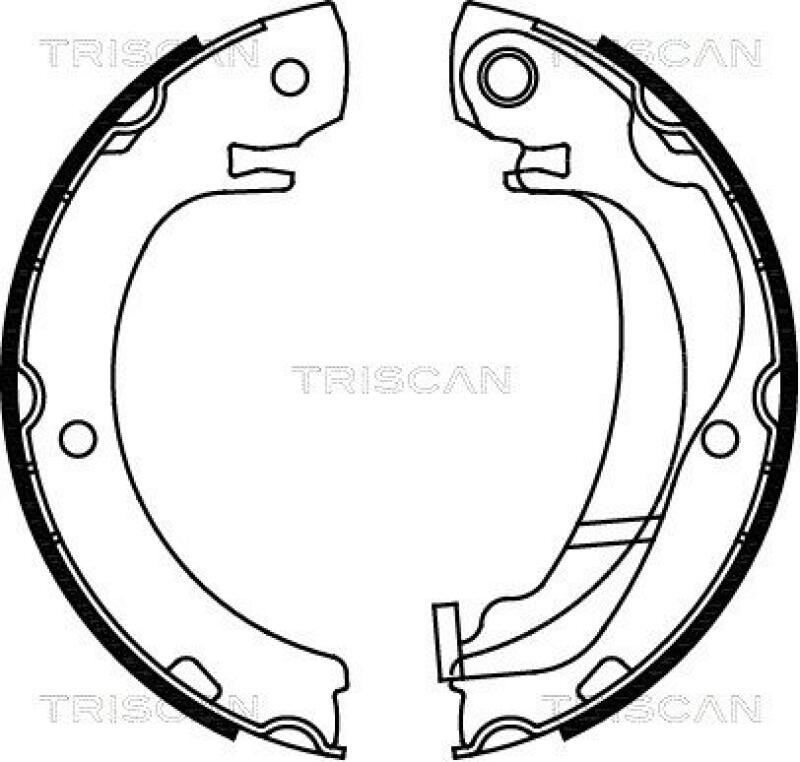 TRISCAN Brake Shoe Set, parking brake