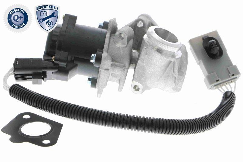 VEMO EGR Valve EXPERT KITS +