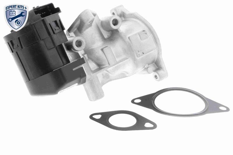 VEMO EGR Valve EXPERT KITS +