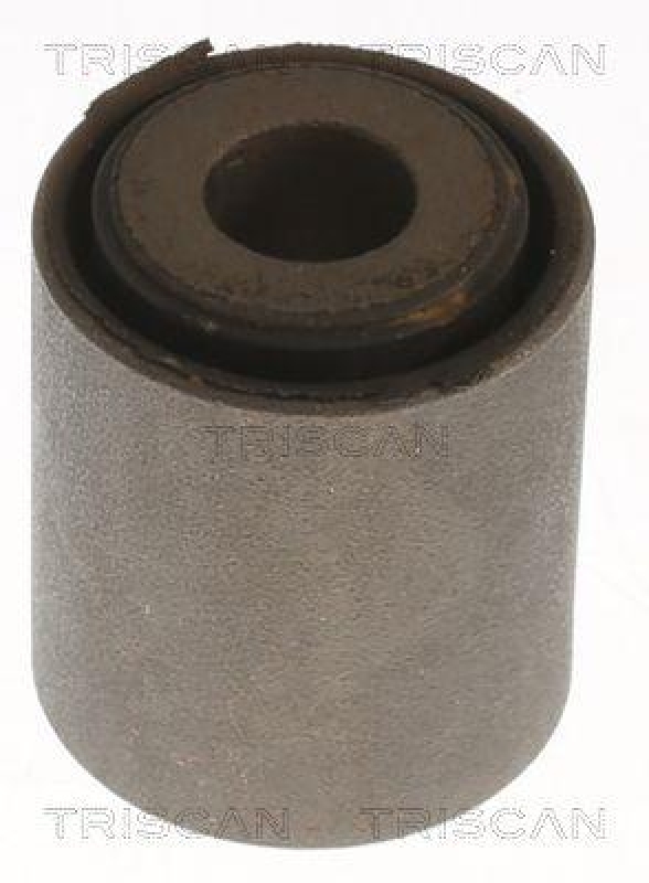 TRISCAN Mounting, control/trailing arm