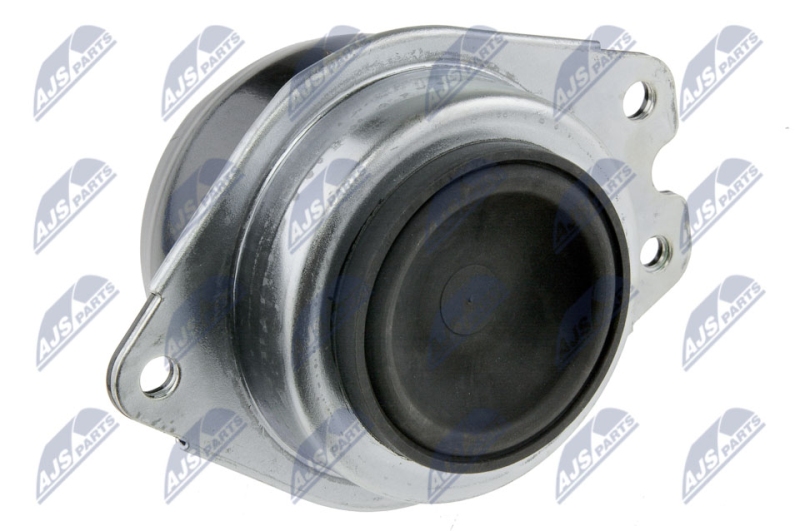 NTY Lagerung, Motor ZPS-RE-060