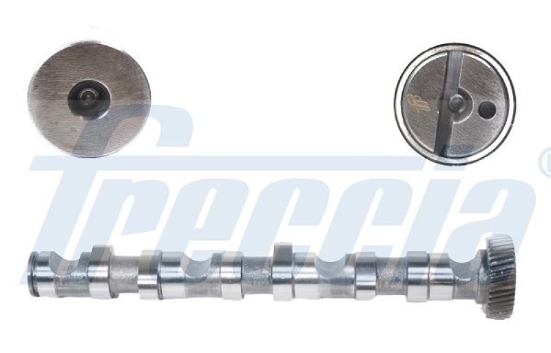 FRECCIA Camshaft