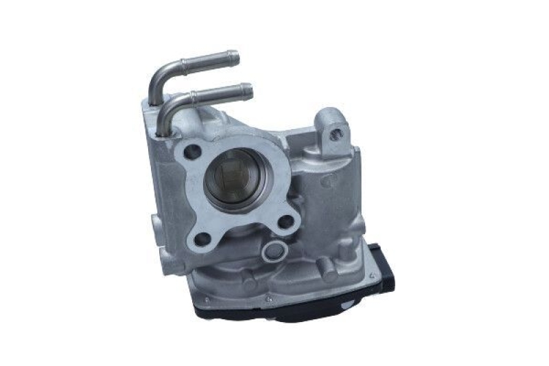 MAXGEAR EGR Valve