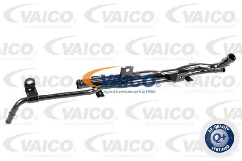 VAICO Hose, air supply Q+, original equipment manufacturer quality