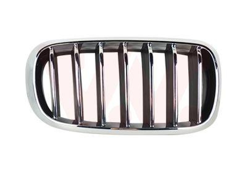 VAN WEZEL Radiator Grille