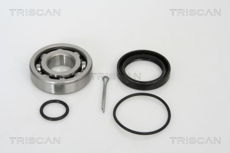 TRISCAN Wheel Bearing Kit