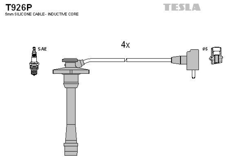 TESLA Zündleitungssatz