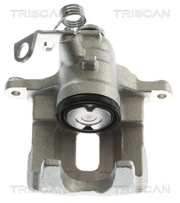 TRISCAN Bremssattel 8175 10209