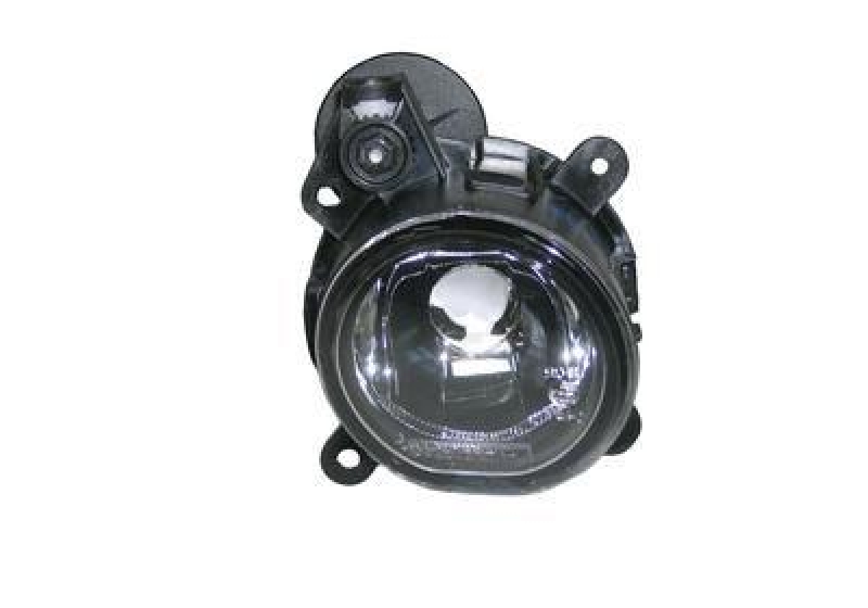 VAN WEZEL Fog Light