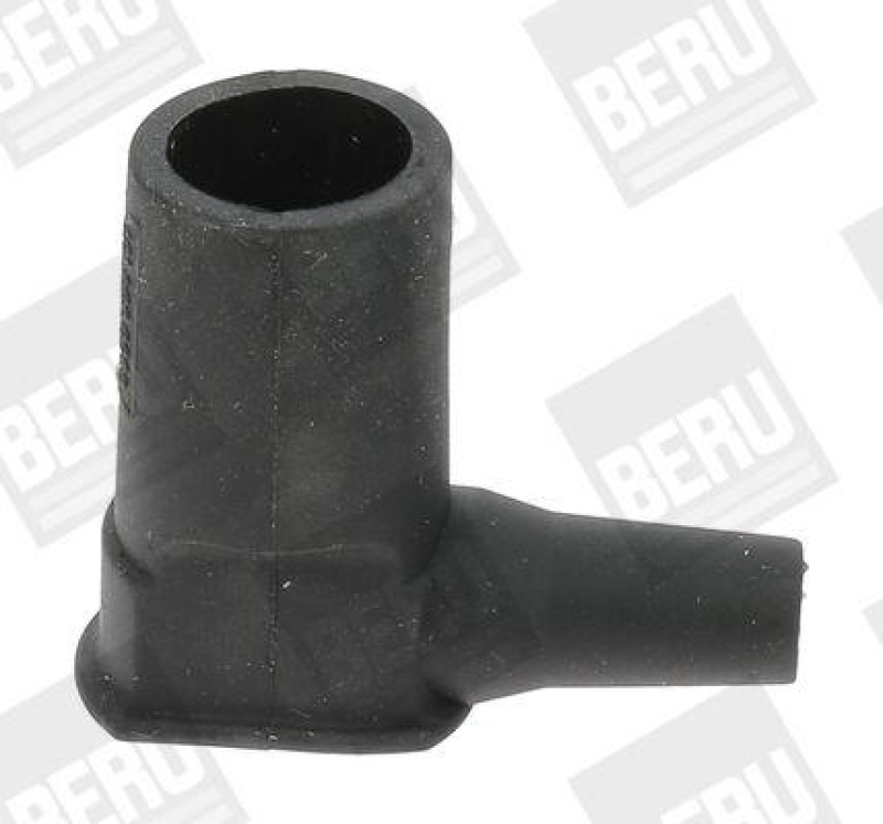 BERU by DRiV Plug, coil