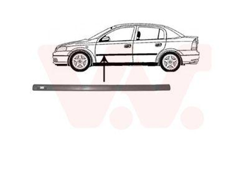 VAN WEZEL Trim/Protective Strip, door
