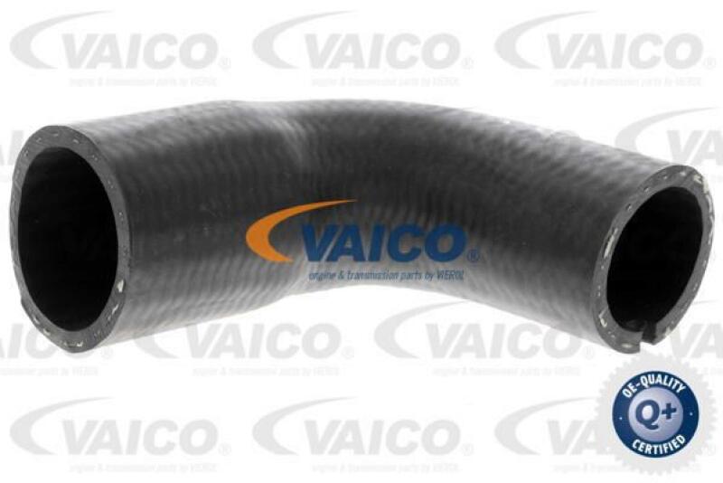 VAICO Charger Air Hose Q+, original equipment manufacturer quality