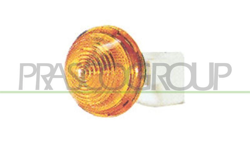 PRASCO Blinkleuchte Blinker FT0194039