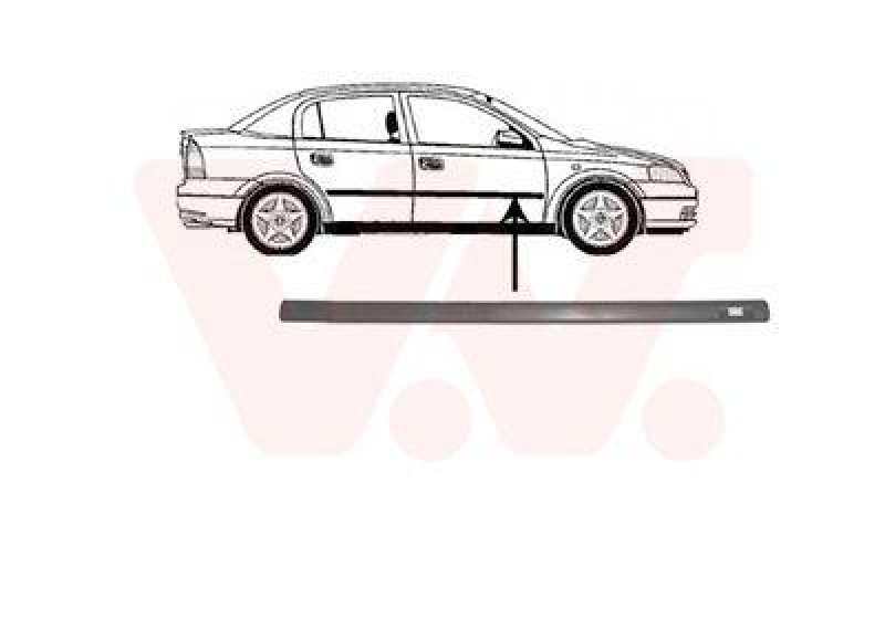 VAN WEZEL Trim/Protective Strip, door