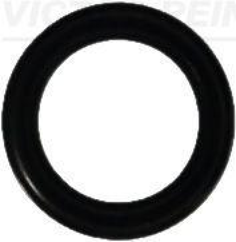 VICTOR REINZ Dichtring