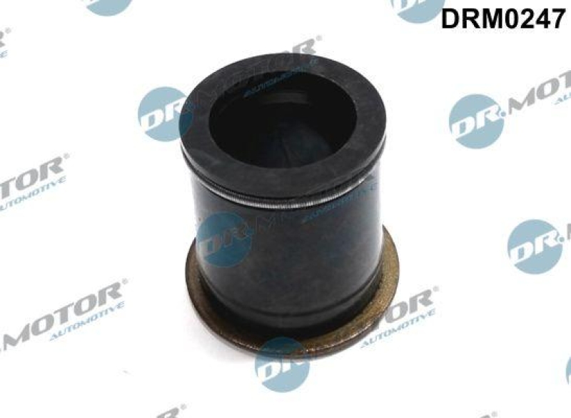 Dr.Motor Automotive Dichtung, Düsenhalter