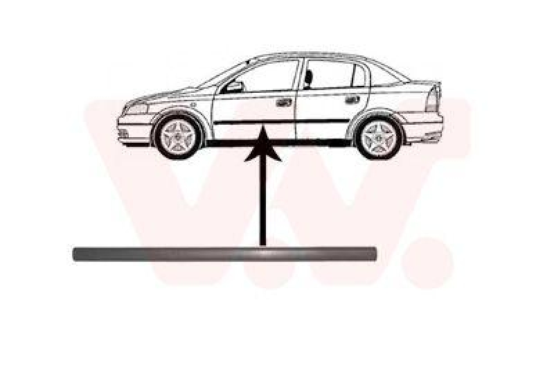 VAN WEZEL Trim/Protective Strip, door