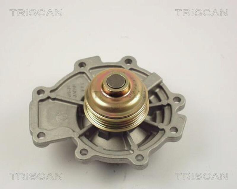 TRISCAN Water Pump