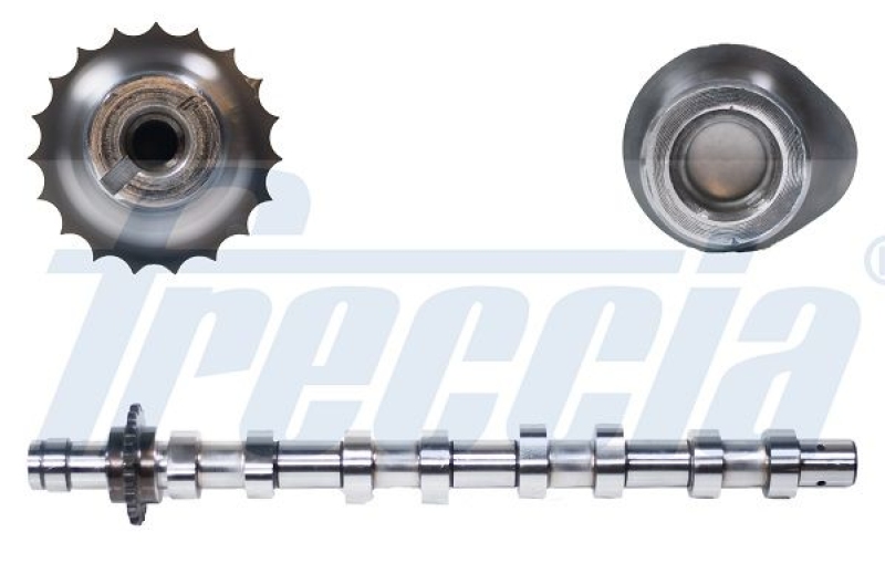 FRECCIA Camshaft