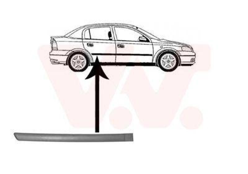 VAN WEZEL Trim/Protective Strip, door
