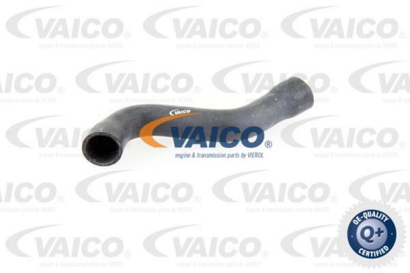 VAICO Radiator Hose Q+, original equipment manufacturer quality