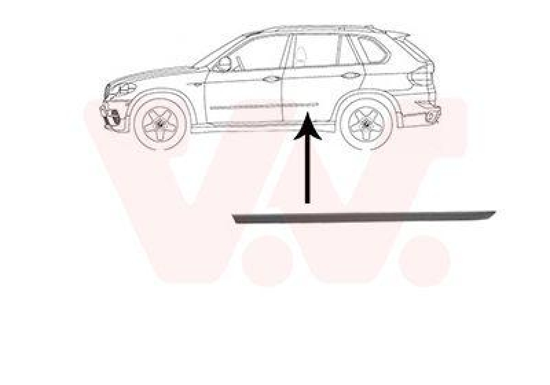 VAN WEZEL Trim/Protective Strip, door