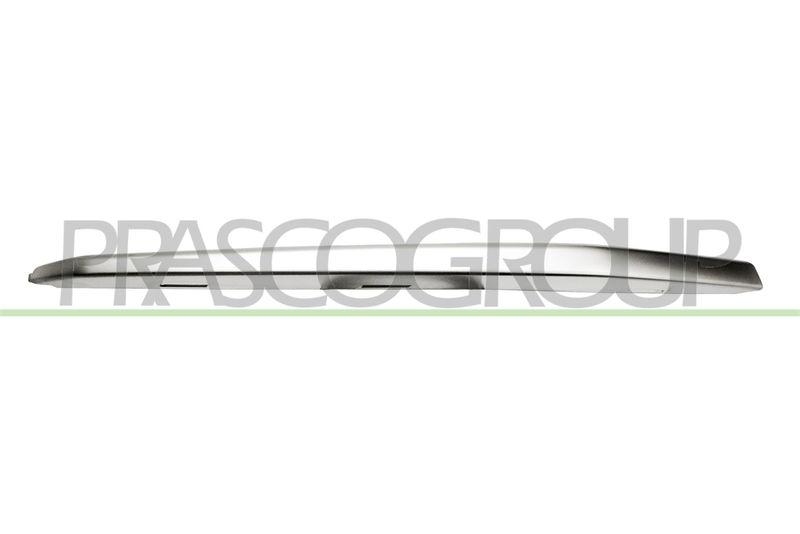 Trim/Protective Strip, radiator grille