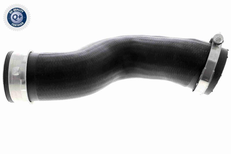 VAICO Ladeluftschlauch Q+, Erstausr&uuml;sterqualit&auml;t V10-4797