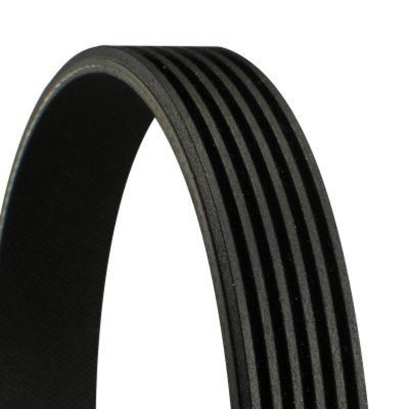 CONTINENTAL CTAM Keilrippenriemen 6PK2050