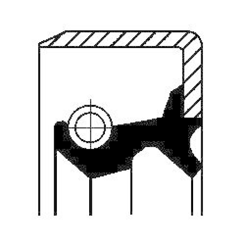 CORTECO Wellendichtring, Differential 19035158B