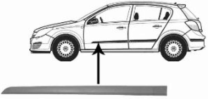 VAN WEZEL Trim/Protective Strip, door