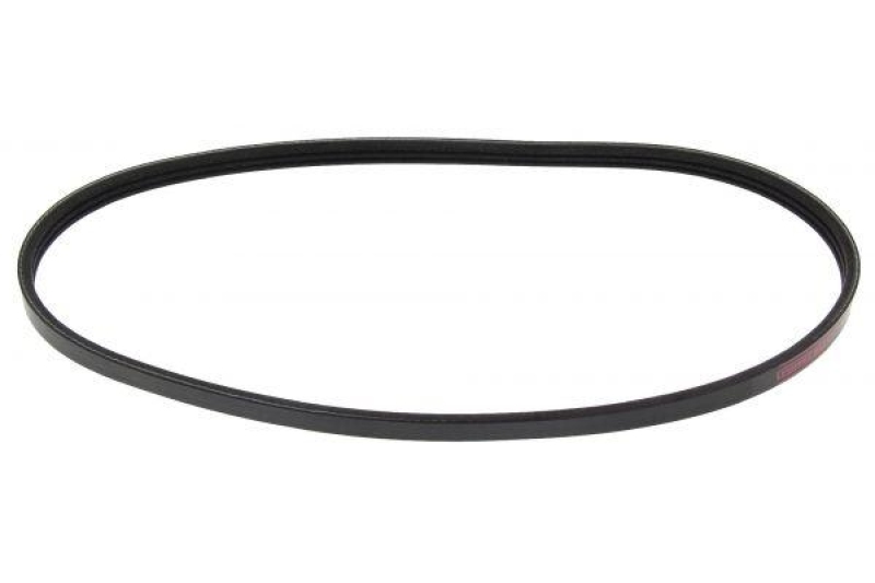 MAPCO V-Ribbed Belt