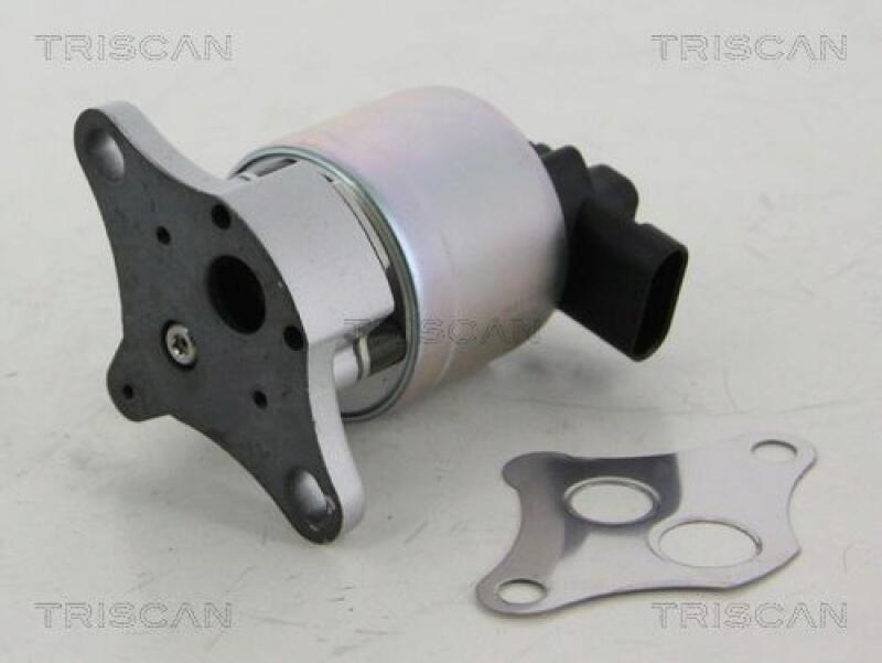 TRISCAN EGR Valve