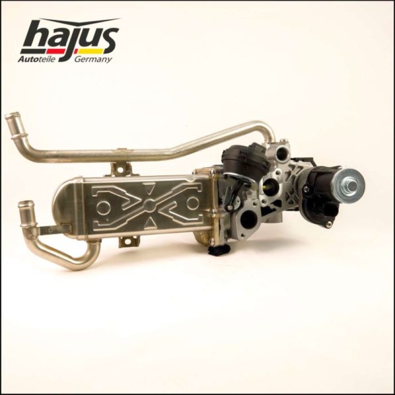 hajus Autoteile AGR-Modul