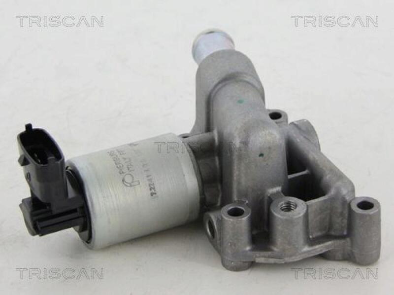 TRISCAN EGR Valve