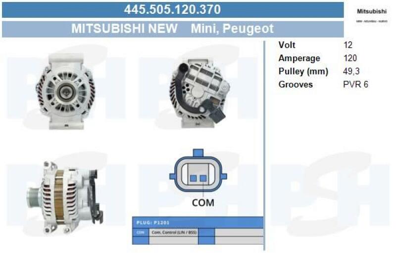 BV PSH Generator