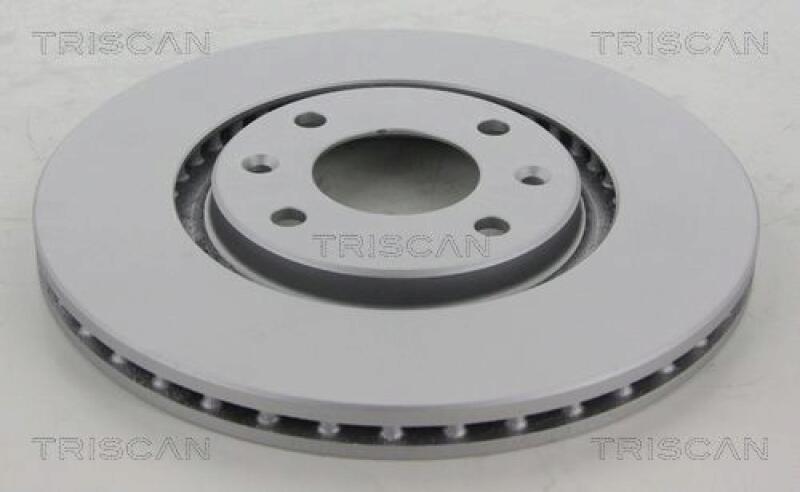 2x TRISCAN Brake Disc