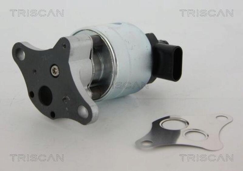 TRISCAN EGR Valve