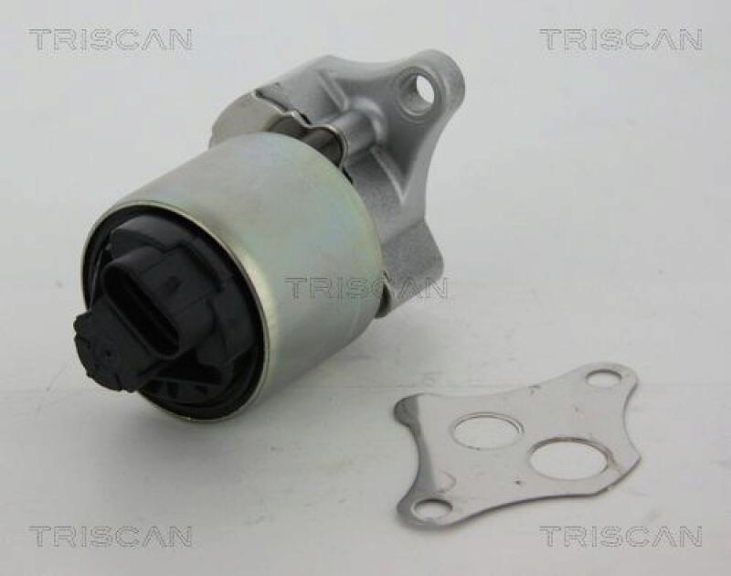 TRISCAN EGR Valve