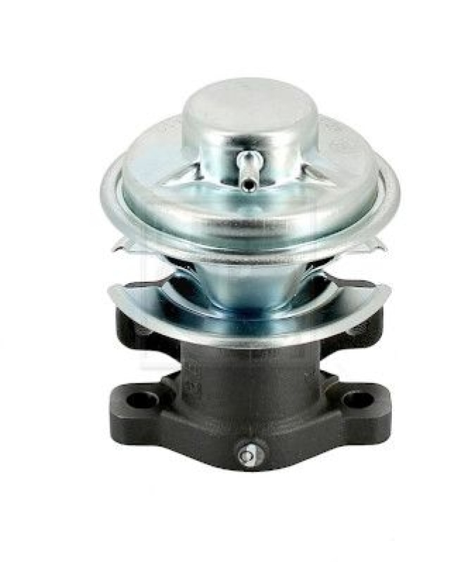 NPS EGR Valve