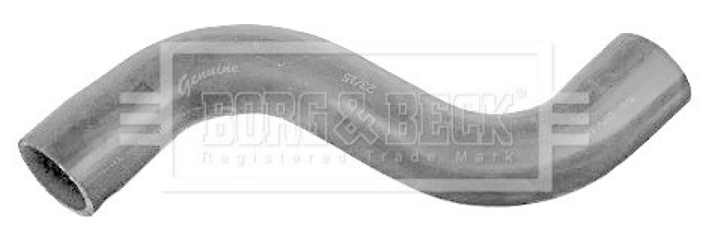 BORG & BECK Ladeluftschlauch BTH1598