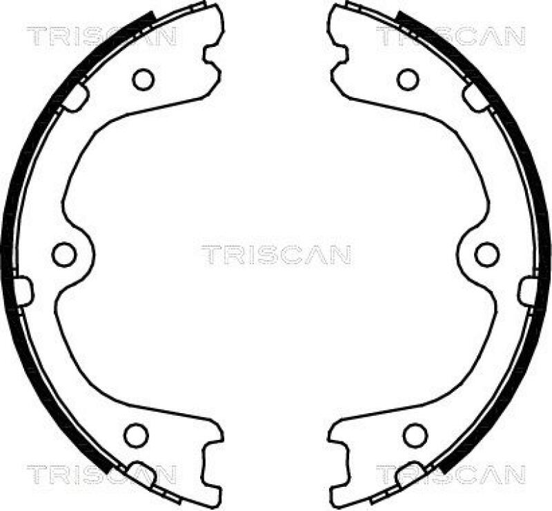 TRISCAN Brake Shoe Set, parking brake
