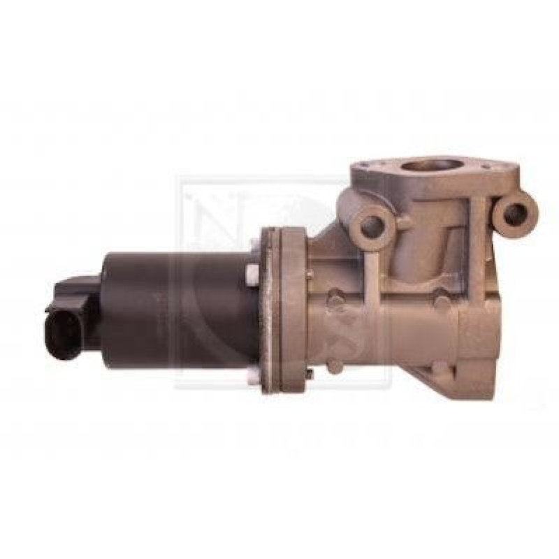 NPS EGR Valve